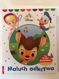 (POL) Disney. Maluch odkrywa. Co kryja okienka?