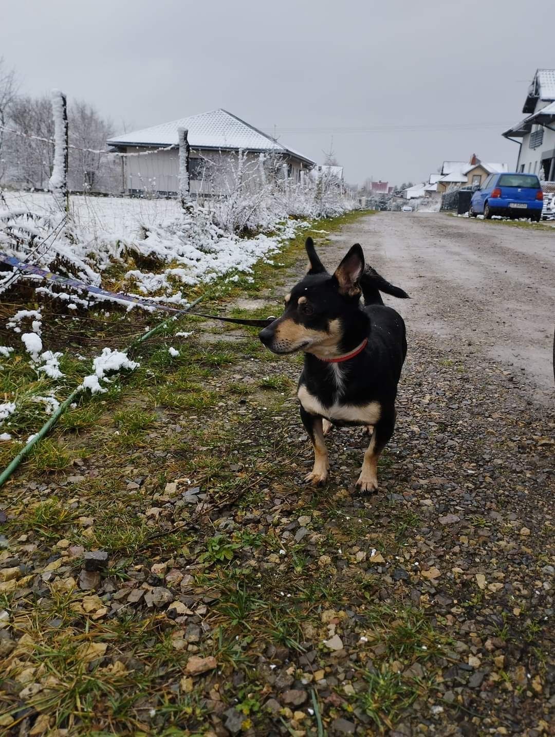 Kolejna zimna za kratami