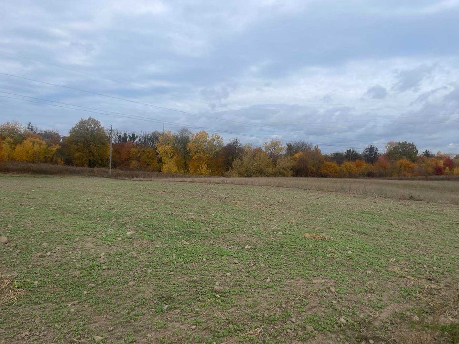 Земельна ділянка під будівництво в с. Станишівка
