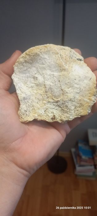 Minerały magnezyt z dendrytami