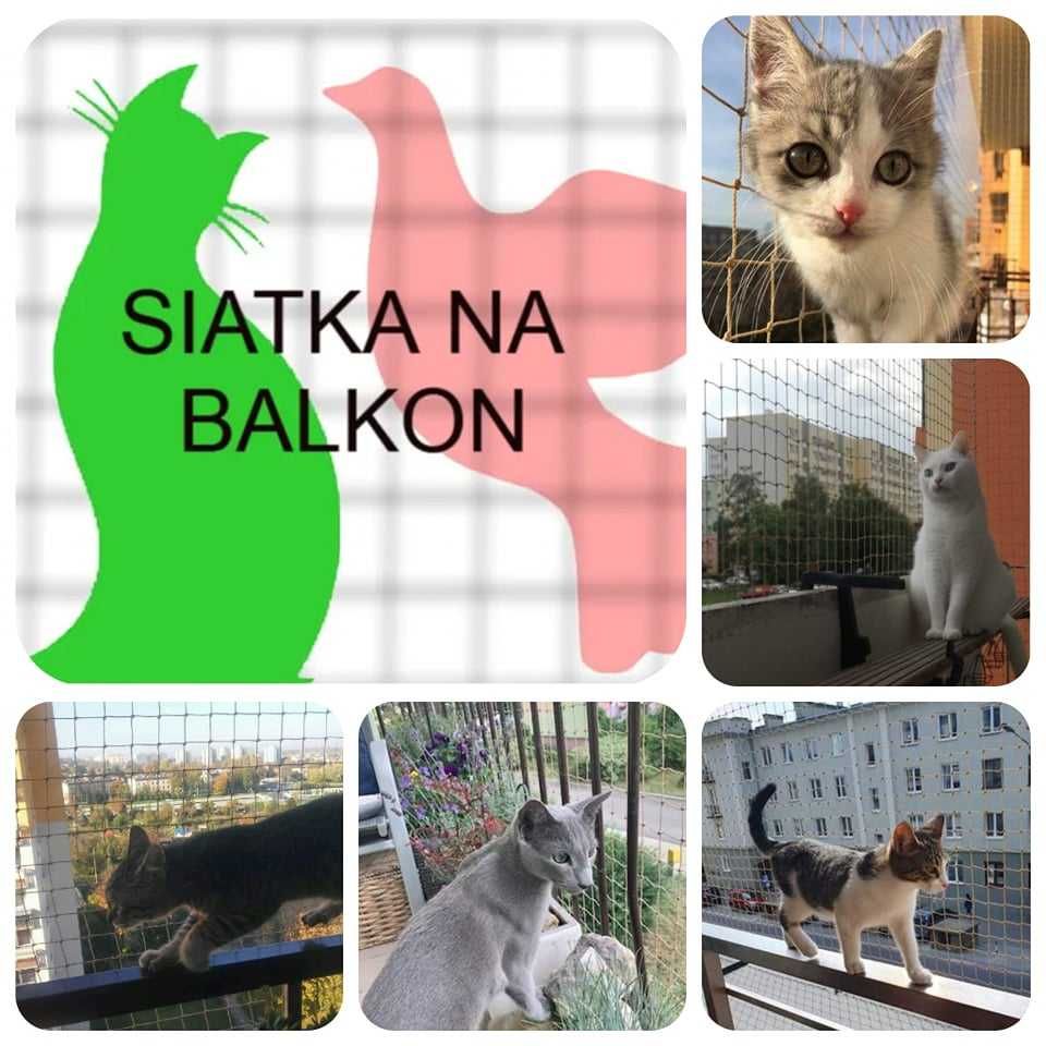 Siatka na balkon, siatka dla kota, siatki przeciw gołębiom