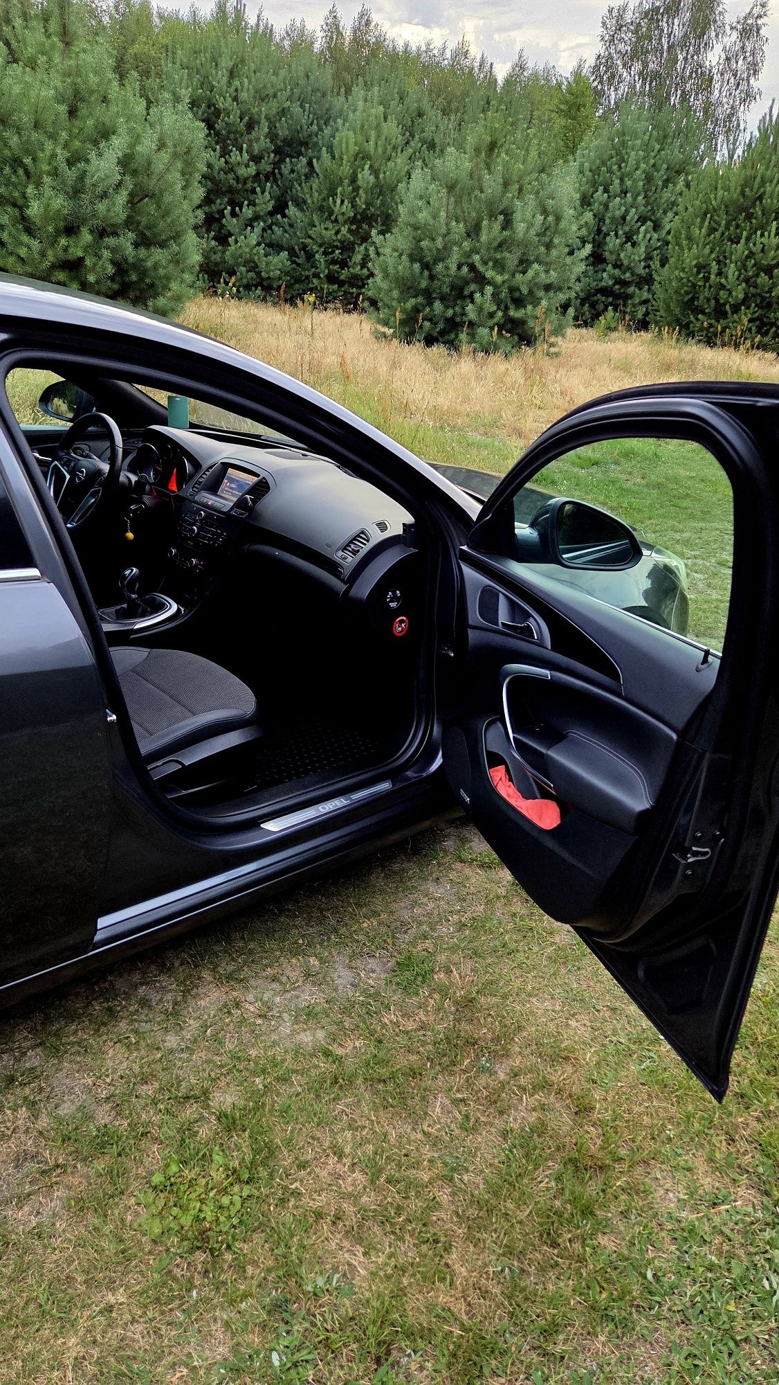Opel Insignia 2.0 CDTI 160 KM, Salon Polska