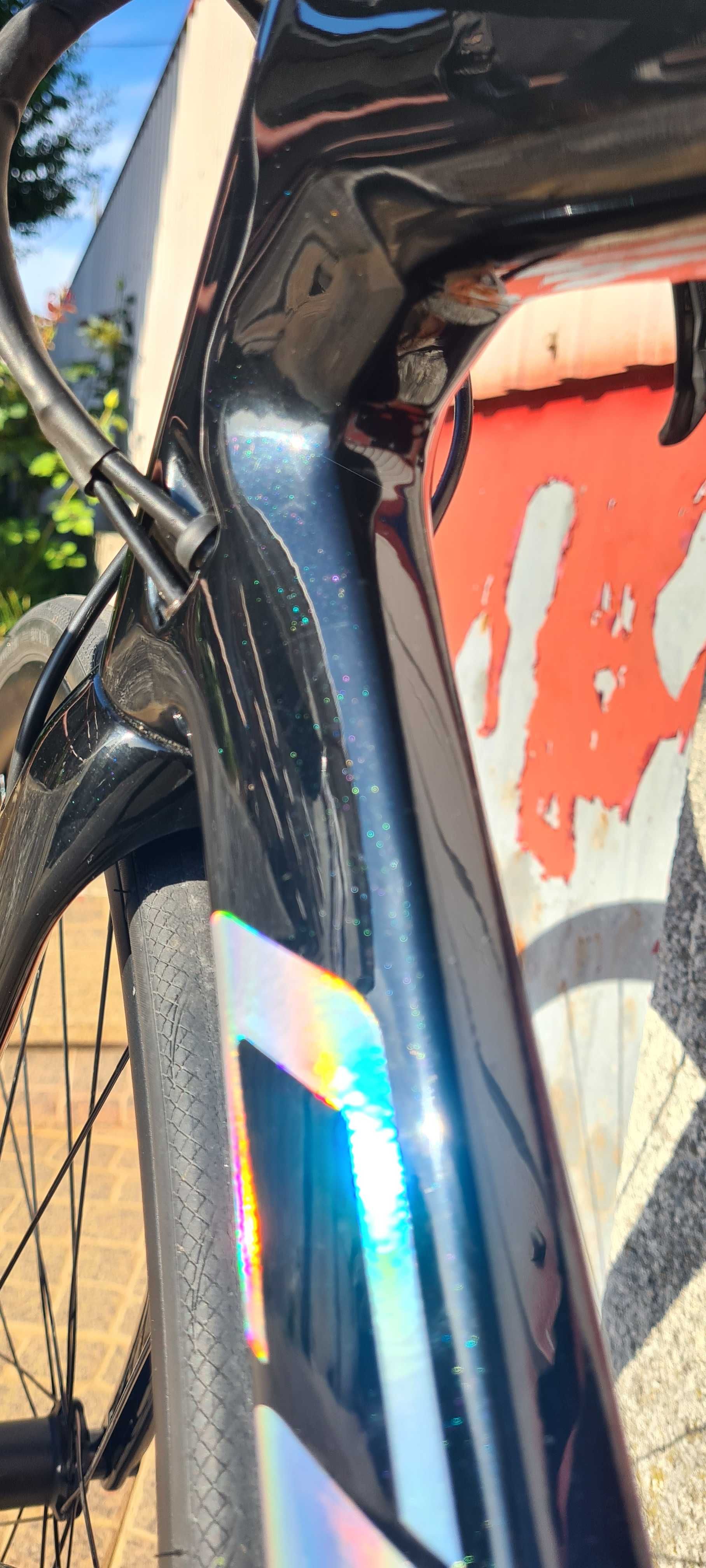 Coluer invicta disc