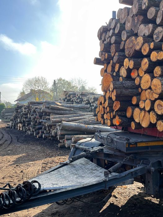 Drewno wałki 2,5m DĄB BUK OLCHA BRZOZA drewno kominkowe kłody stosowe