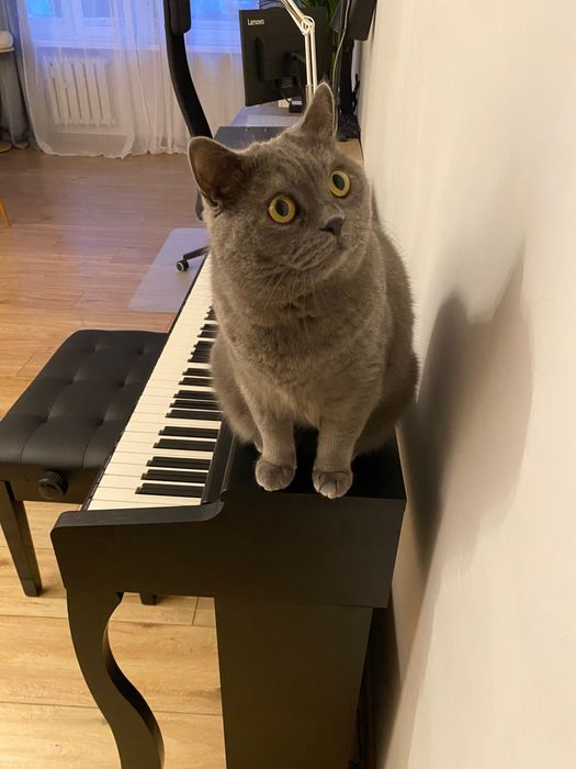 Nauka gry na pianinie