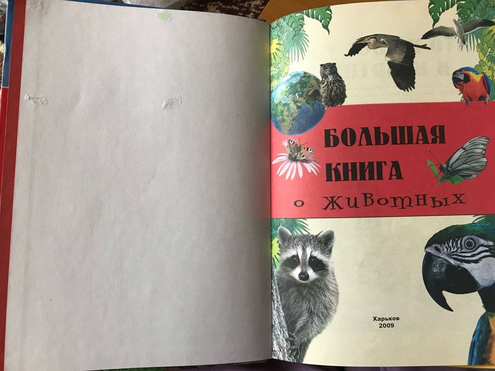 Книги для детей