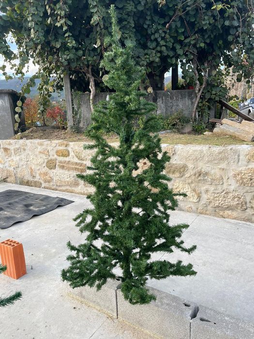 Árvore de Natal 1,70 m