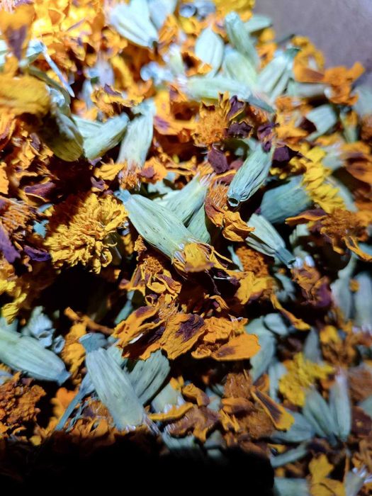 Продам цветы бархатцы чернобривцы