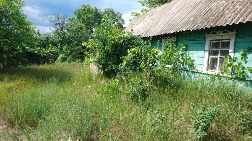 Дом из деревянного бруса+(25 соток), с газом в 99 км.от Киева.