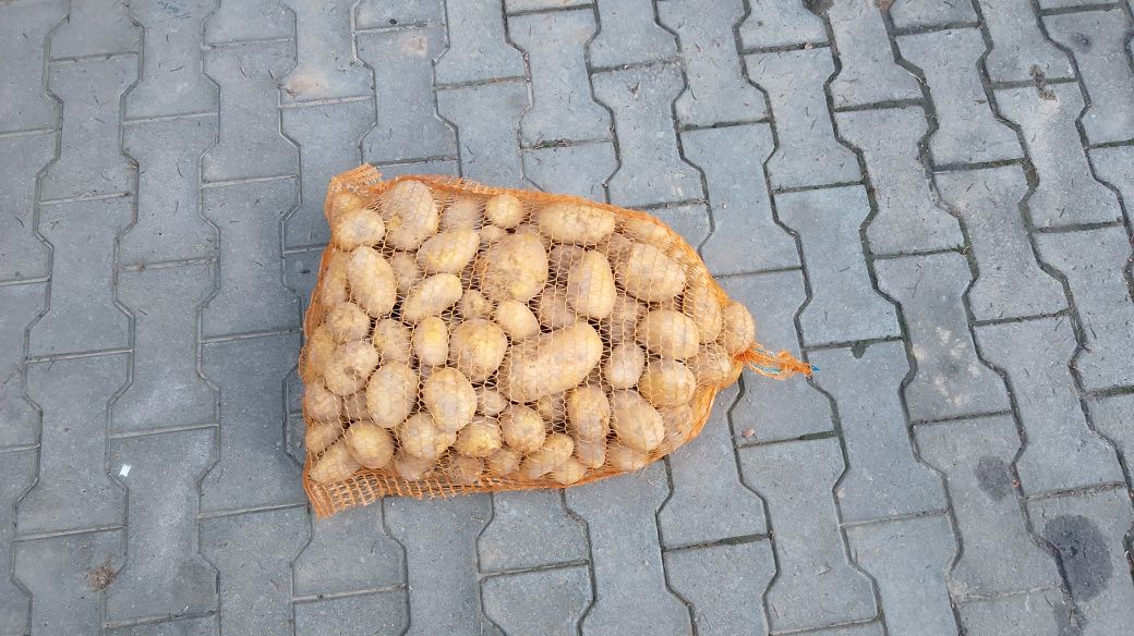 Ziemniaki żółte lord