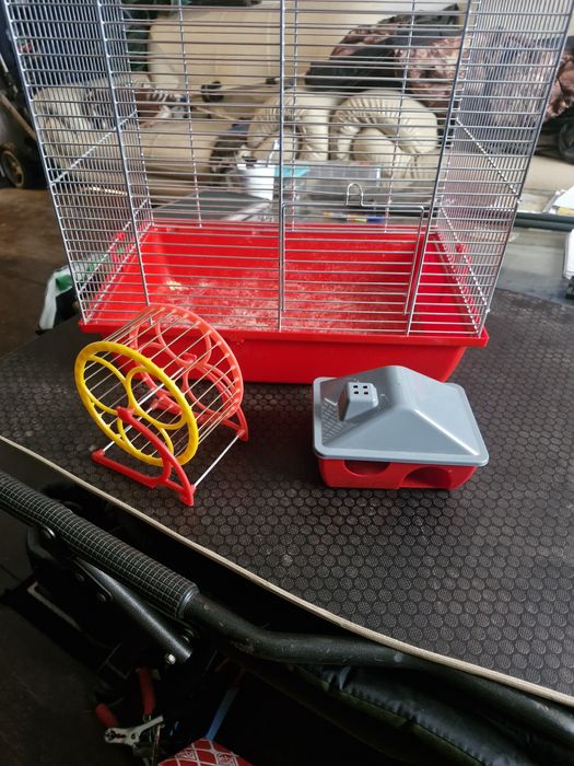 Klatka dla chomika używana miesiąc plus domek i kołowrotek