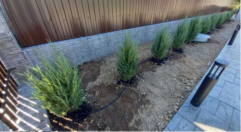 Nawadnianie Kropelkowe 100m  Zestaw Linia Do Nawadniania PROSTY MONTAŻ