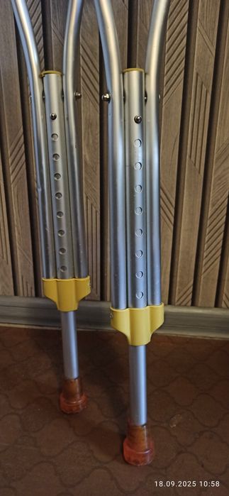 Костели  продам .