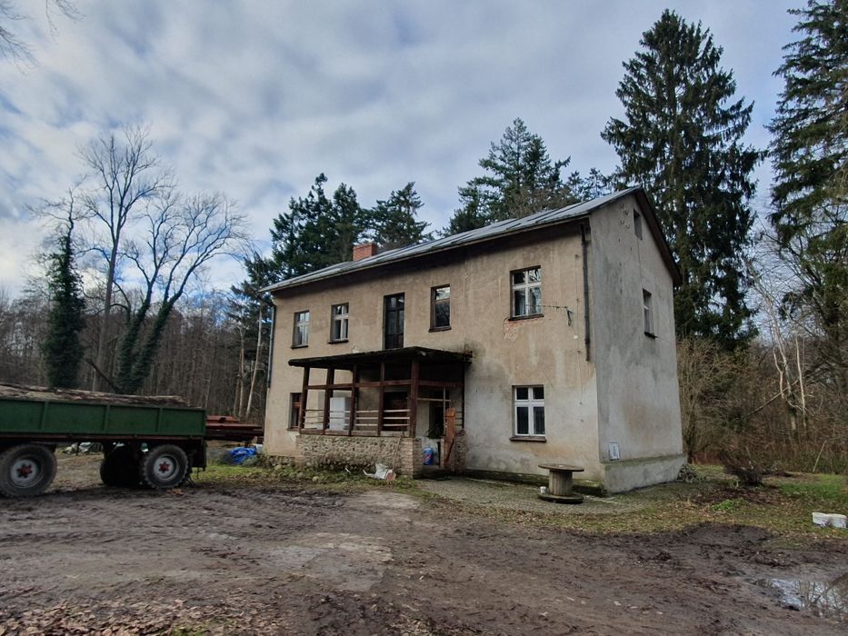 Dom/budynek mieszkalny  oraz stajnia