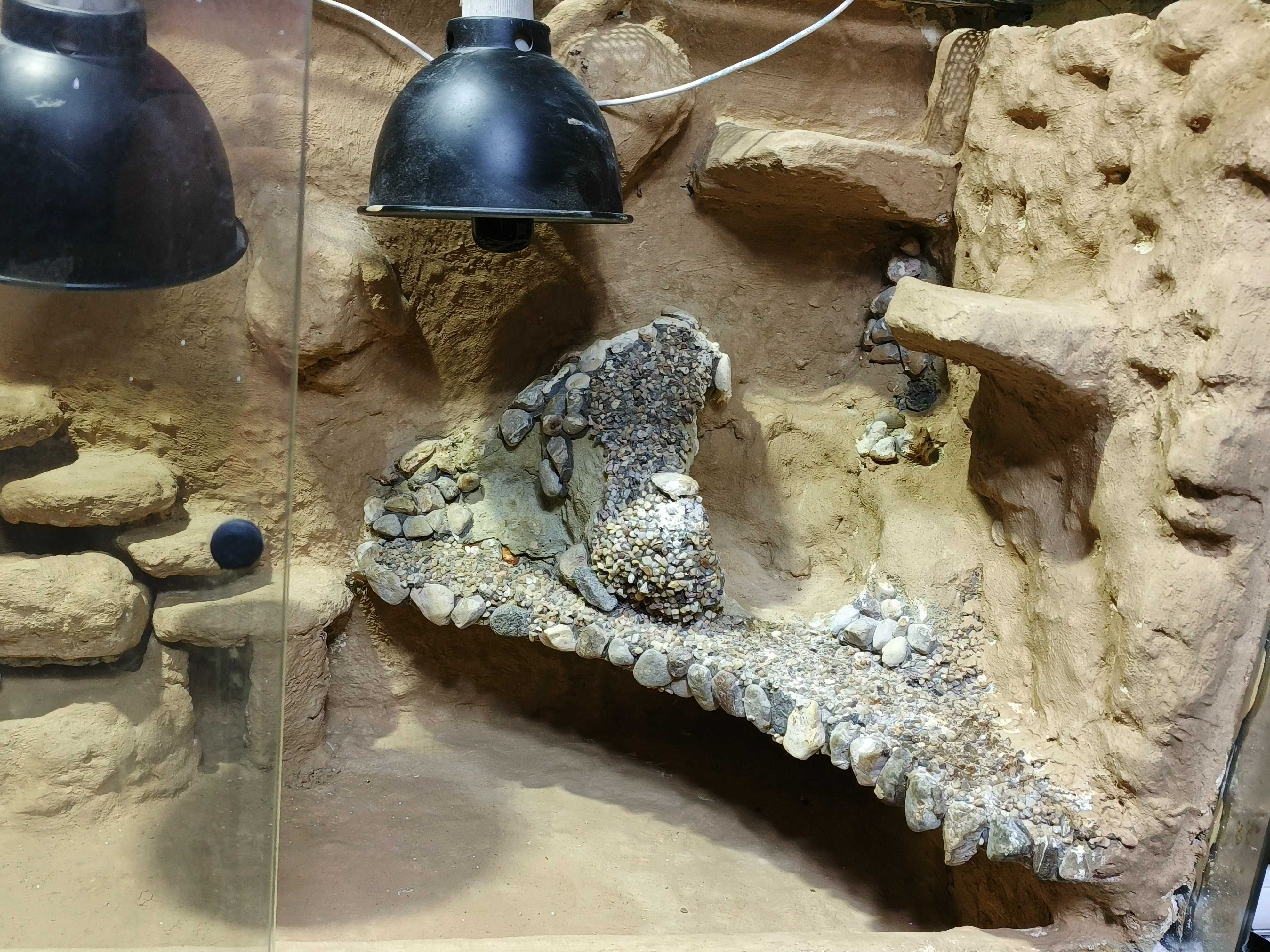 Terrarium wyposażone