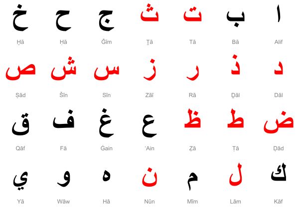 Korepetycje język Arabski