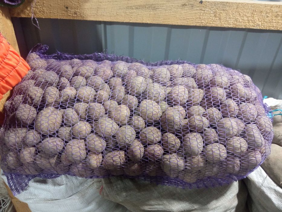 Продаж картоплі дрібної