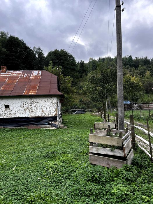 Продаю участок землі у селі Бабче, Богородчанського району