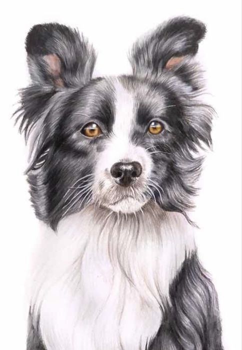 Presente de natal Desenho retratos realísticos de pessoas e animais