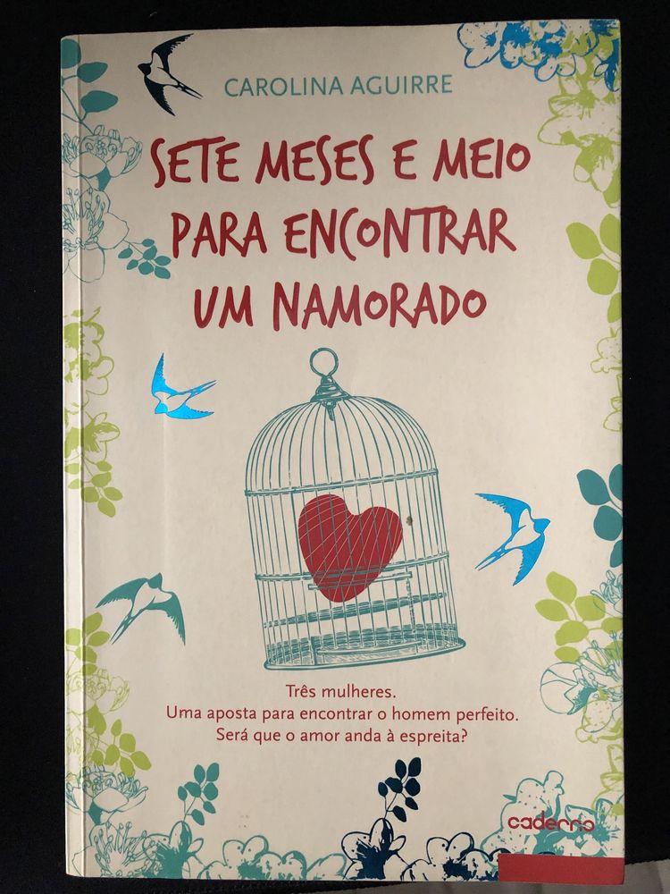 Livro “Sete meses e meio para encontrar um namorado”