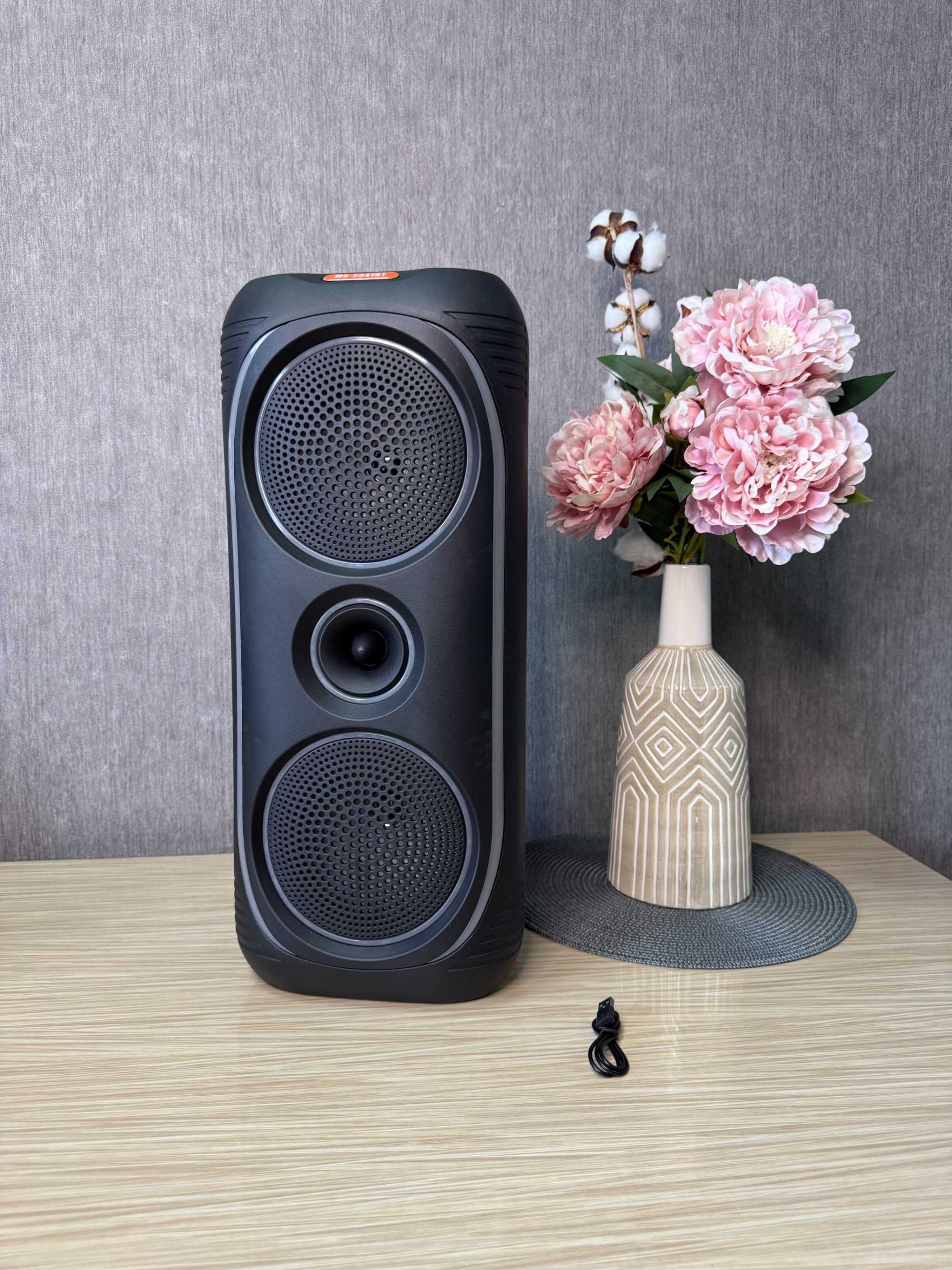 Портативная акустика 50 Вт — колонка-чемодан с Bluetooth, FM-радио
