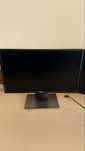 Монітори Dell P2217H 21.5″ IPS Full HD 60Hz,