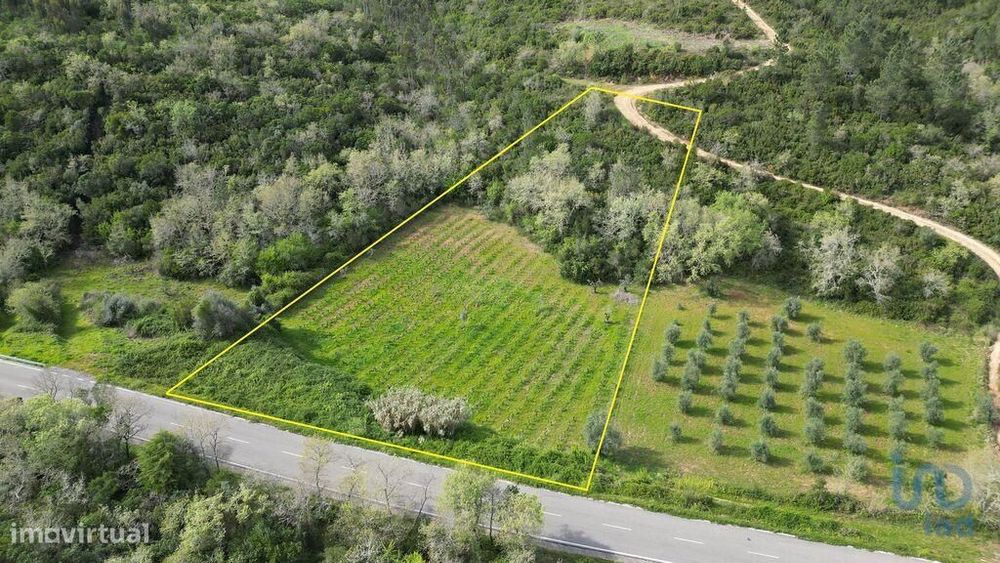 Terreno Agrícola em Podentes