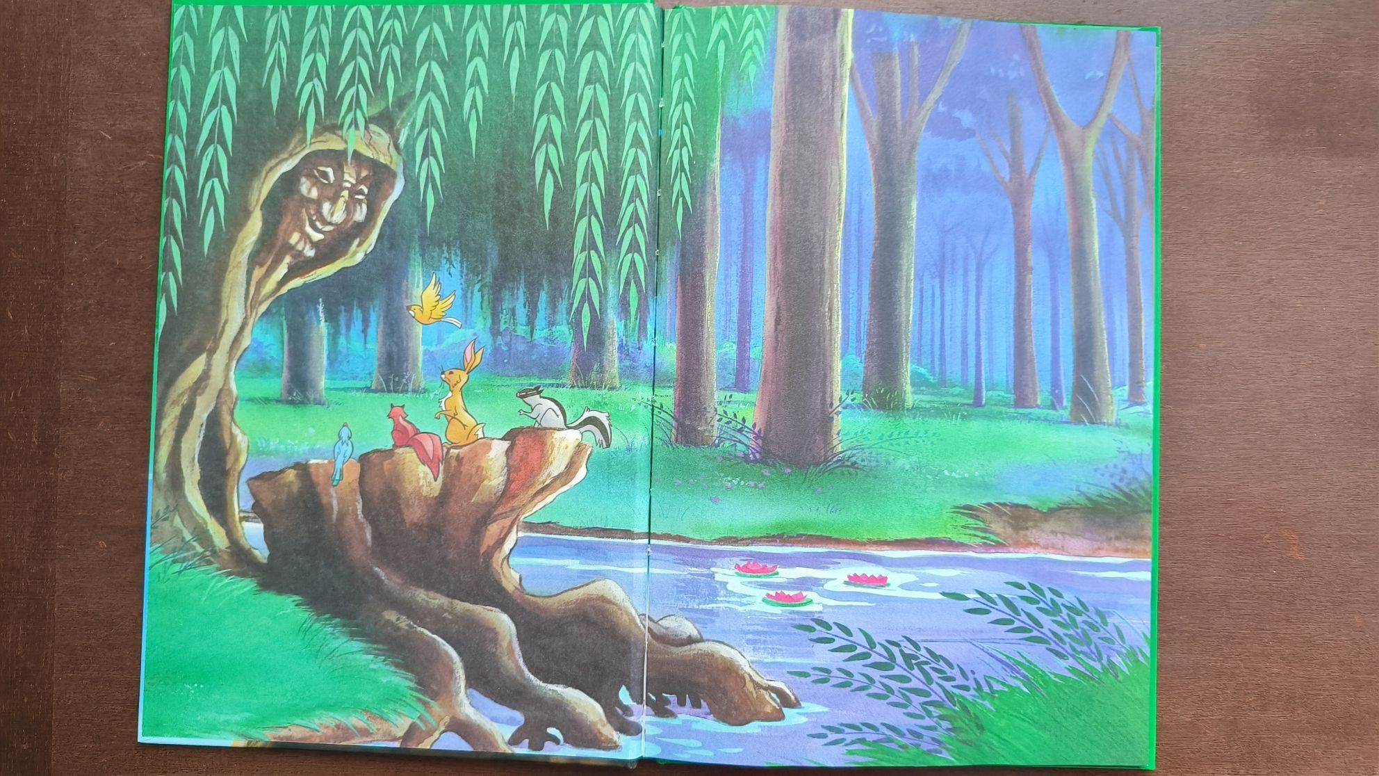 Книга Покахонтас Disney