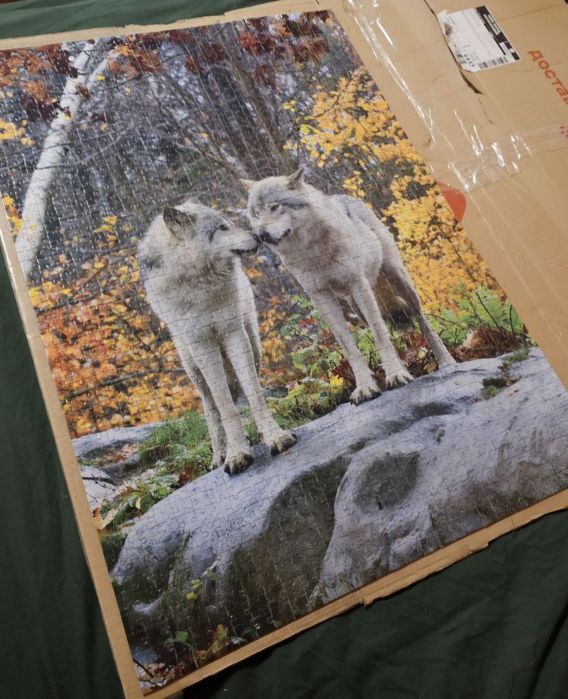 Пазли 1000 і 1500