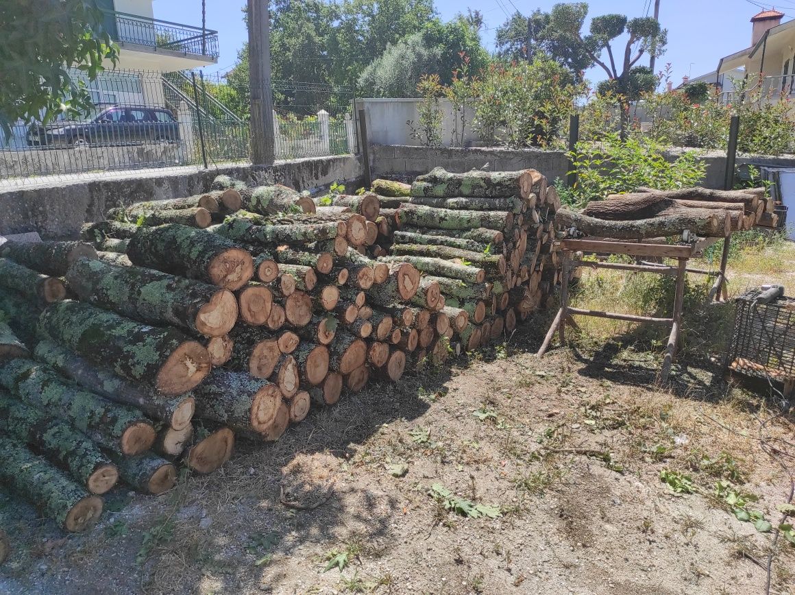 Madeira de carvalho inoculado para produção de cogumelos