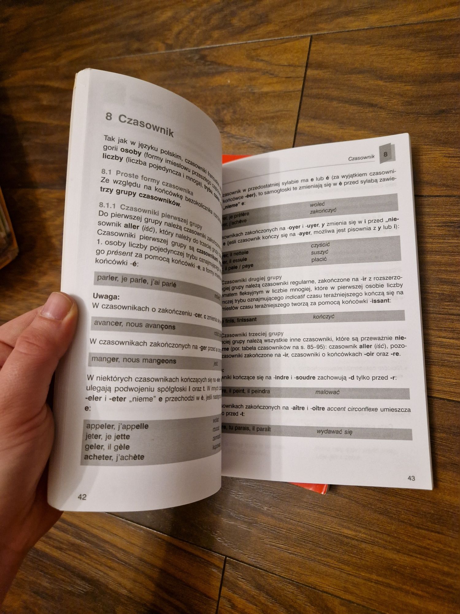 Czasowniki i gramatyka język francuski