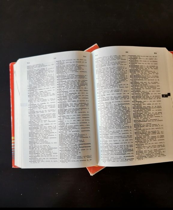 Dicionário Alemão - Português