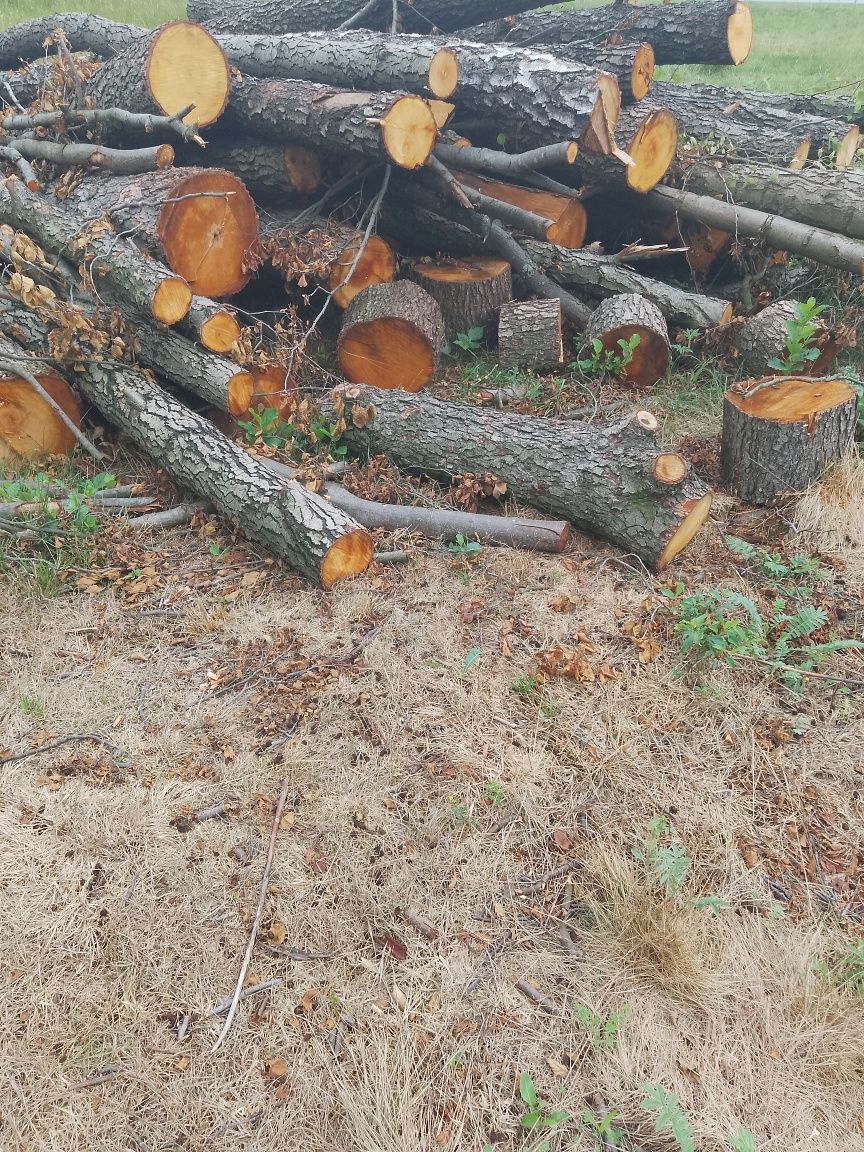 Sprzedam Drzewo opałowe