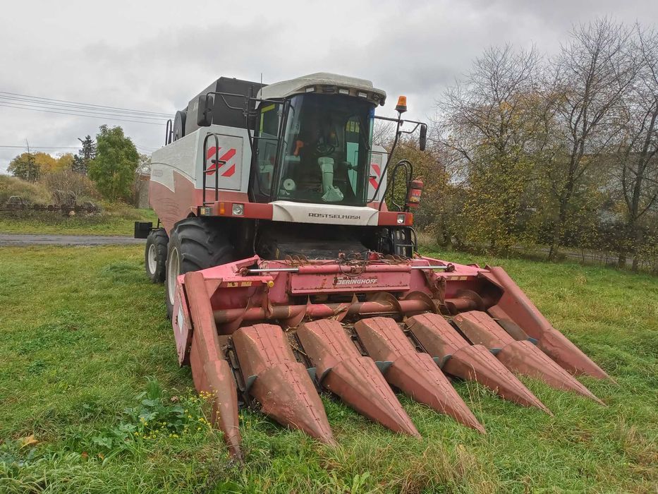Koszenie kukurydzy na ziarno z przystawką Geringhoff 6 rzędowa