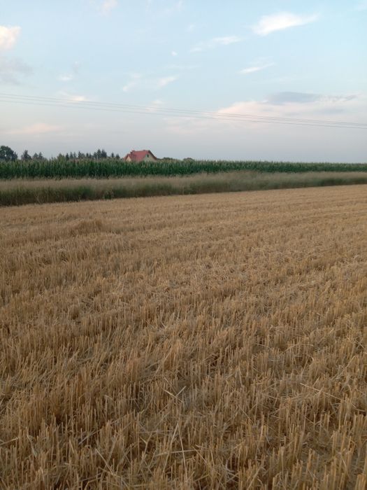 Działka z warunkami zabudowy w Rogòżnie - Gmina Łańcut
