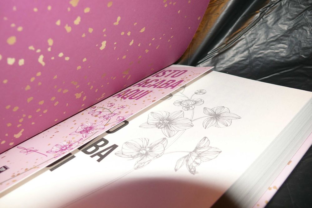 Isto Acaba Aqui de Colleen Hoover