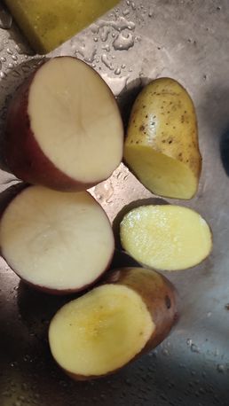 Картопля, картошка крупна на посадку Біла, рожева , фіолетова