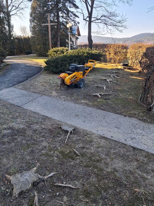 Frezowanie Karp Usuwanie Korzeni Pni Drzew Frezarka do Pni