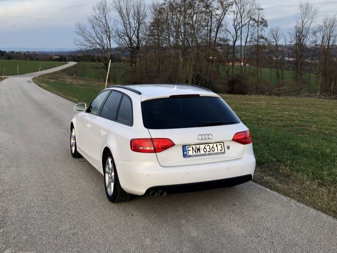 Audi A4 B8 2.0 TDI Biała perla