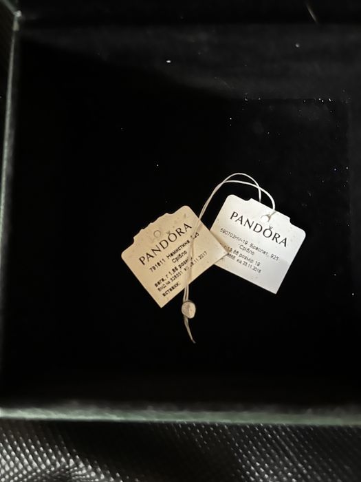 Оригінальний браслет Pandora