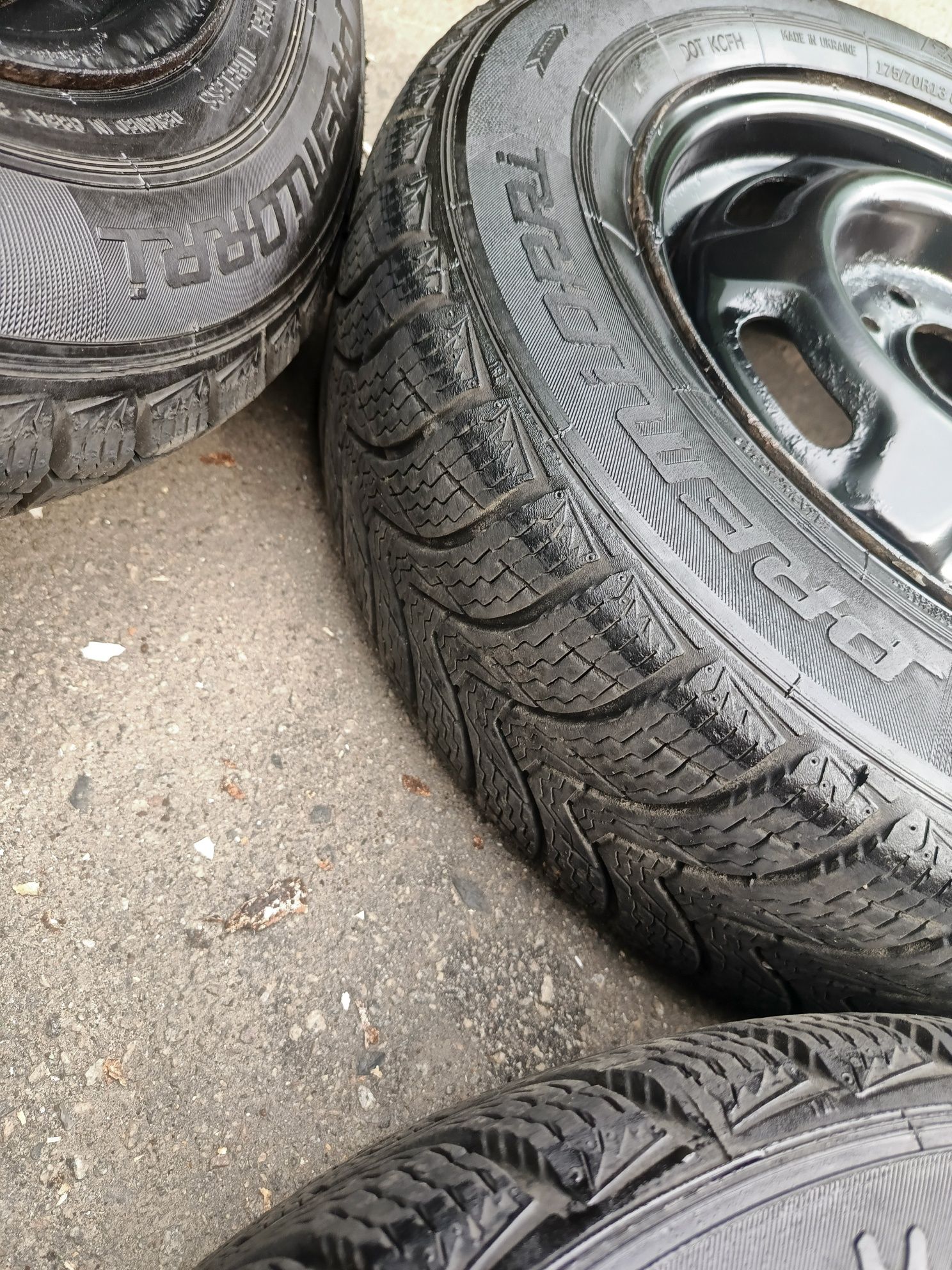 ГУМа (Резина) Premiorri 175.70 R13 2023 року.