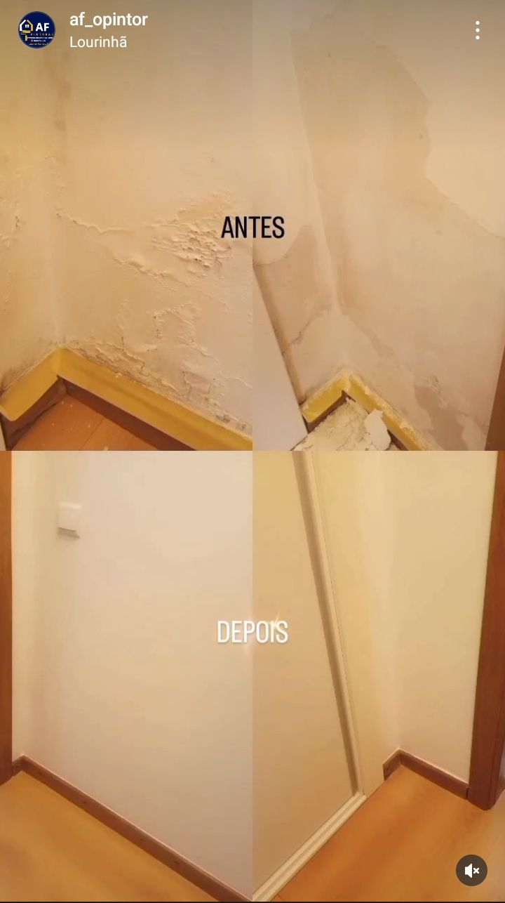 Pintor Profissional