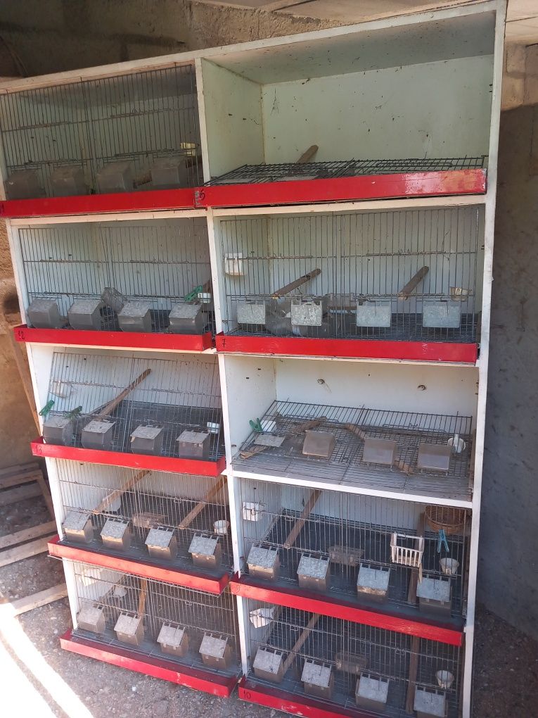 tenho  para vender essas gaiolas  tão  em bom estado