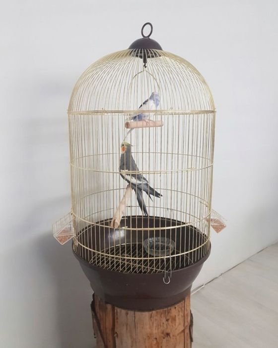 SOLIDNA złota Klatka dla PAPUG Ptaków Nimfy + Drążek + Huśtawka Zestaw