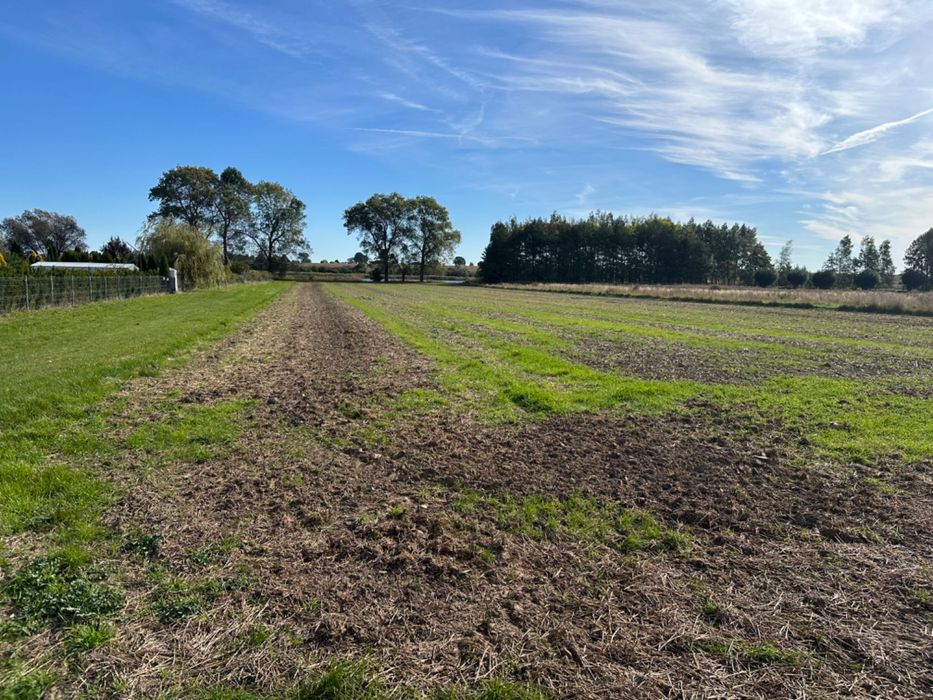 Sprzedam działkę budowlaną 7333m2 z własną linią brzegową nad jeziorem