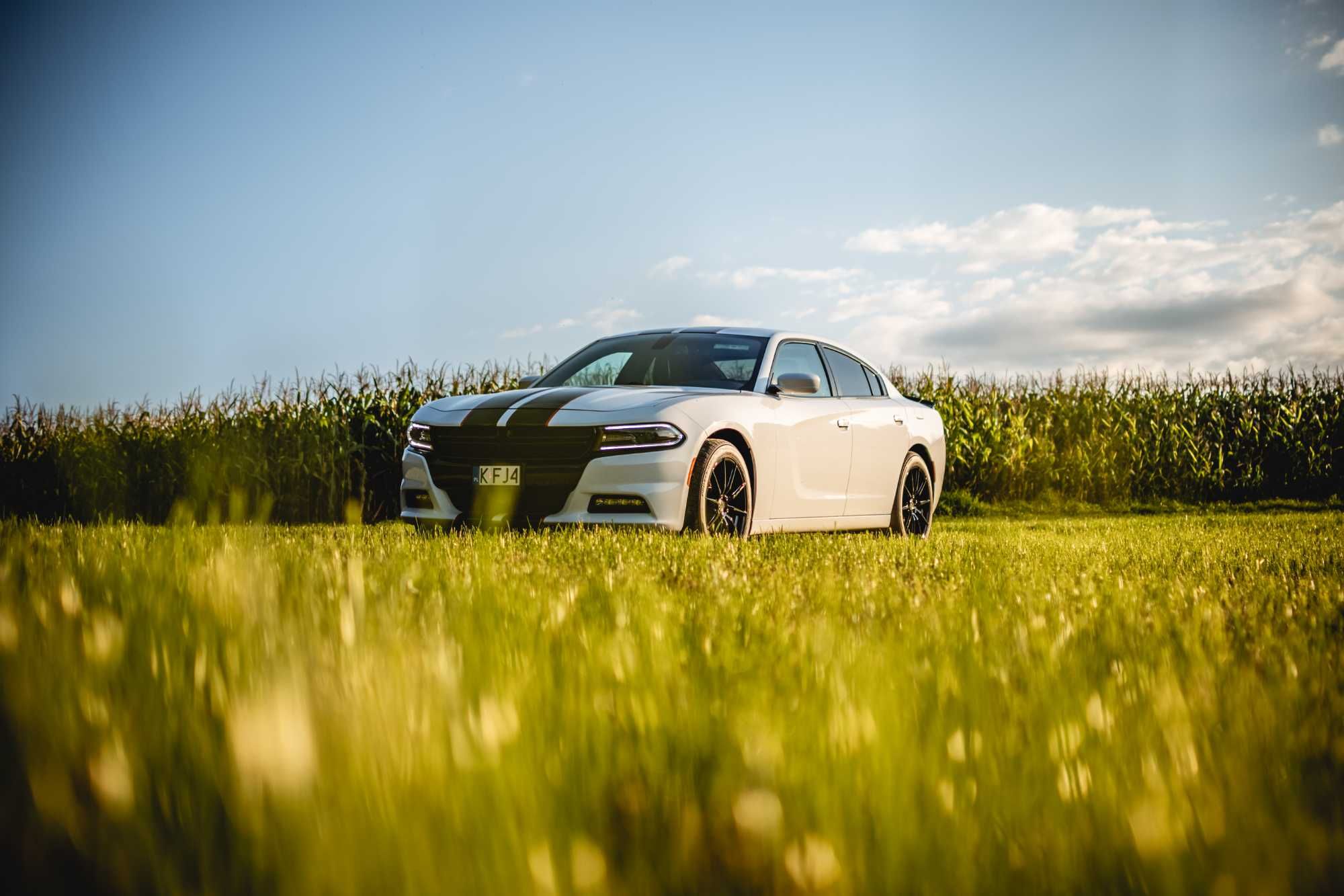 Auto / samochód do ślubu Dodge Charger - wynajem z kierowcą