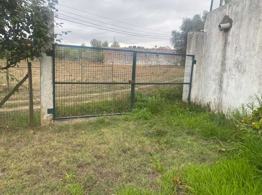 Terreno Agrícola com Poço, Furo e Árvores de Fruto – 5,000 m² +-