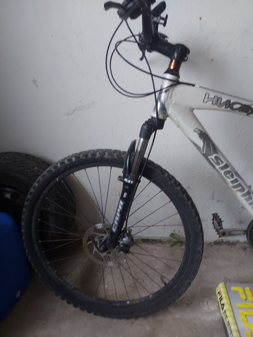 Bicicleta da marca Sleiphir