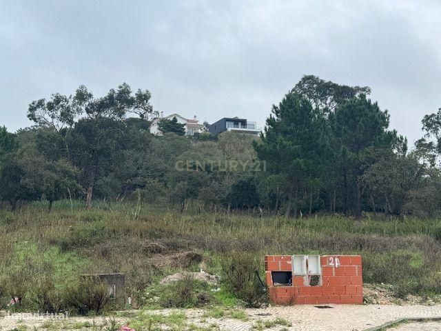 Lote de terreno para construção a 2 km de Caldas da Rainha