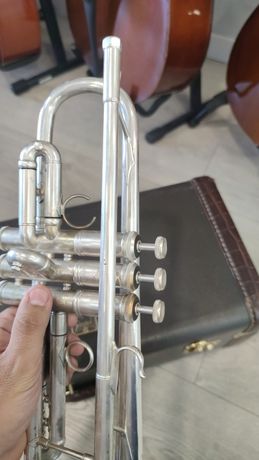 Trompete artisan Sib